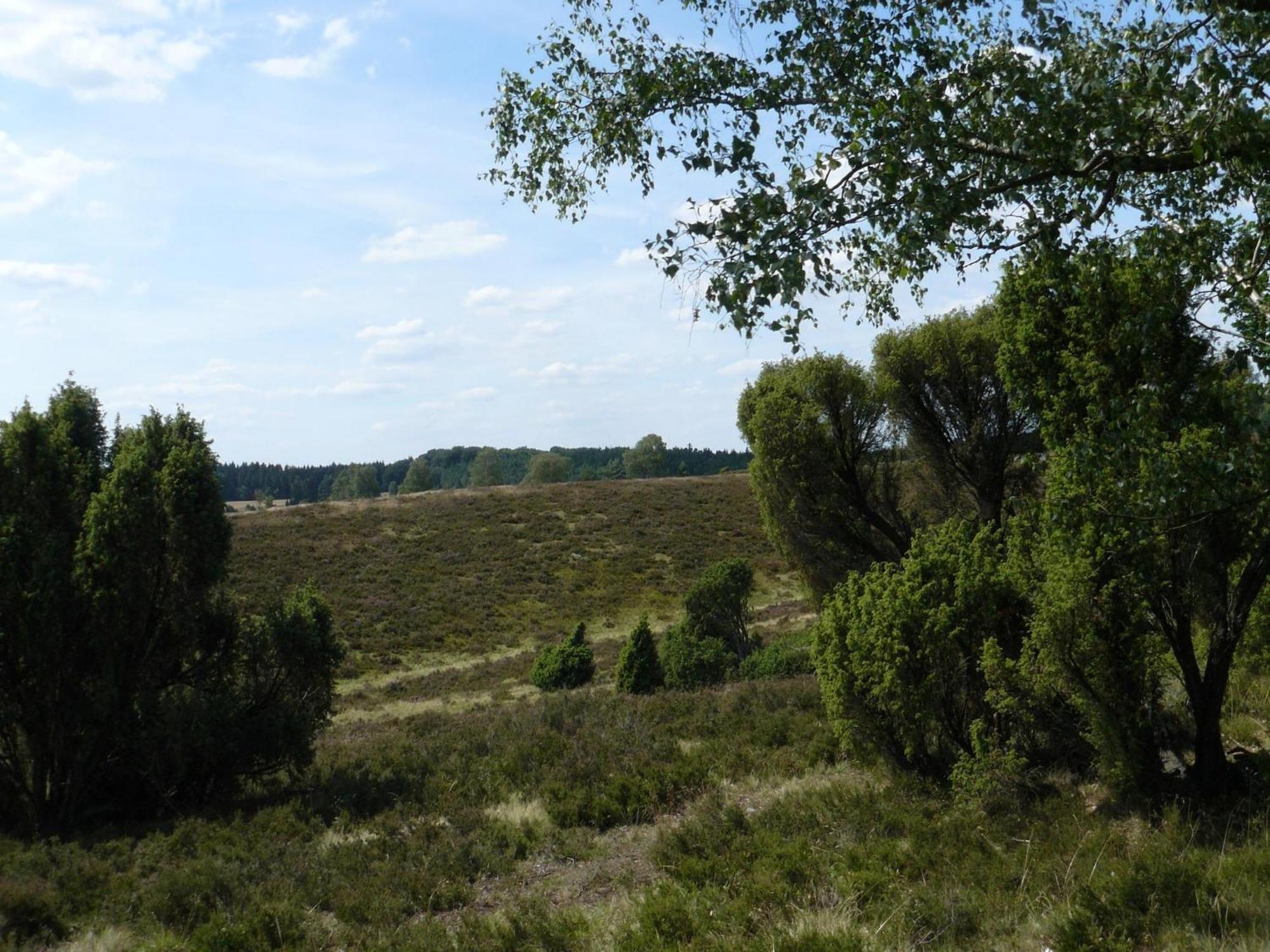 Holiday Home In Wietzendorf In The L Neburg Heath With A View Of The Countryside Εξωτερικό φωτογραφία