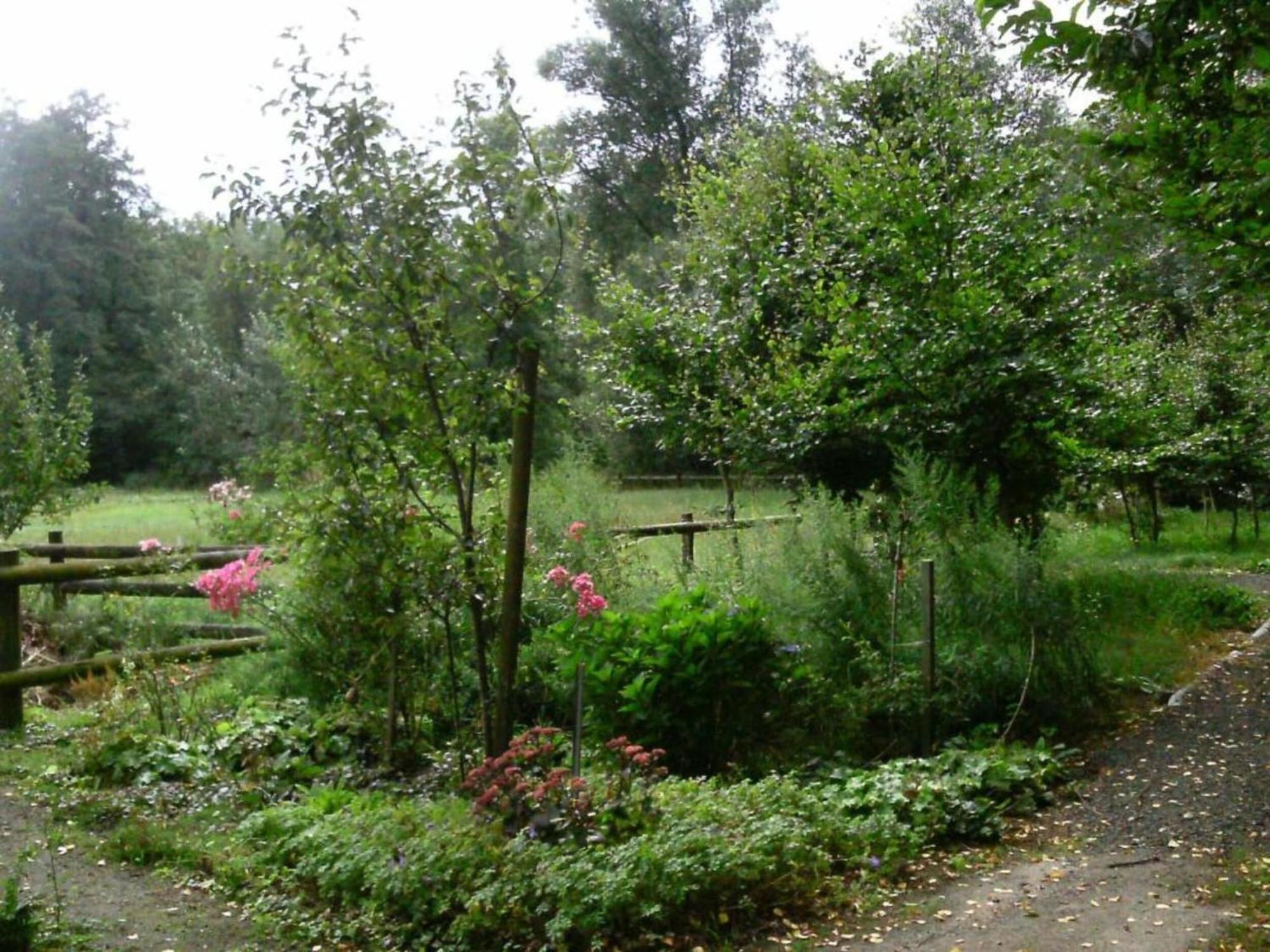 Holiday Home In Wietzendorf In The L Neburg Heath With A View Of The Countryside Εξωτερικό φωτογραφία