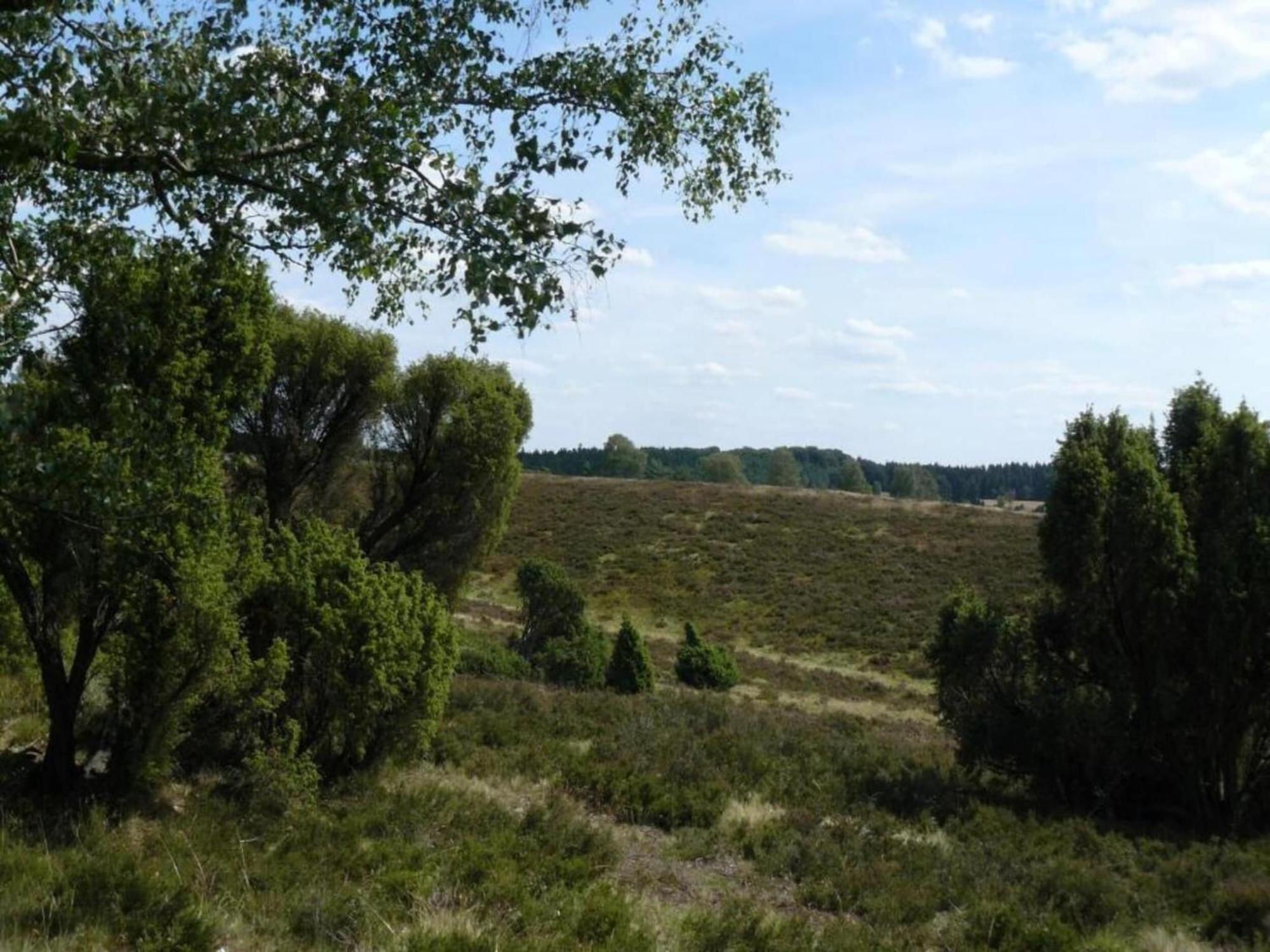 Holiday Home In Wietzendorf In The L Neburg Heath With A View Of The Countryside Εξωτερικό φωτογραφία